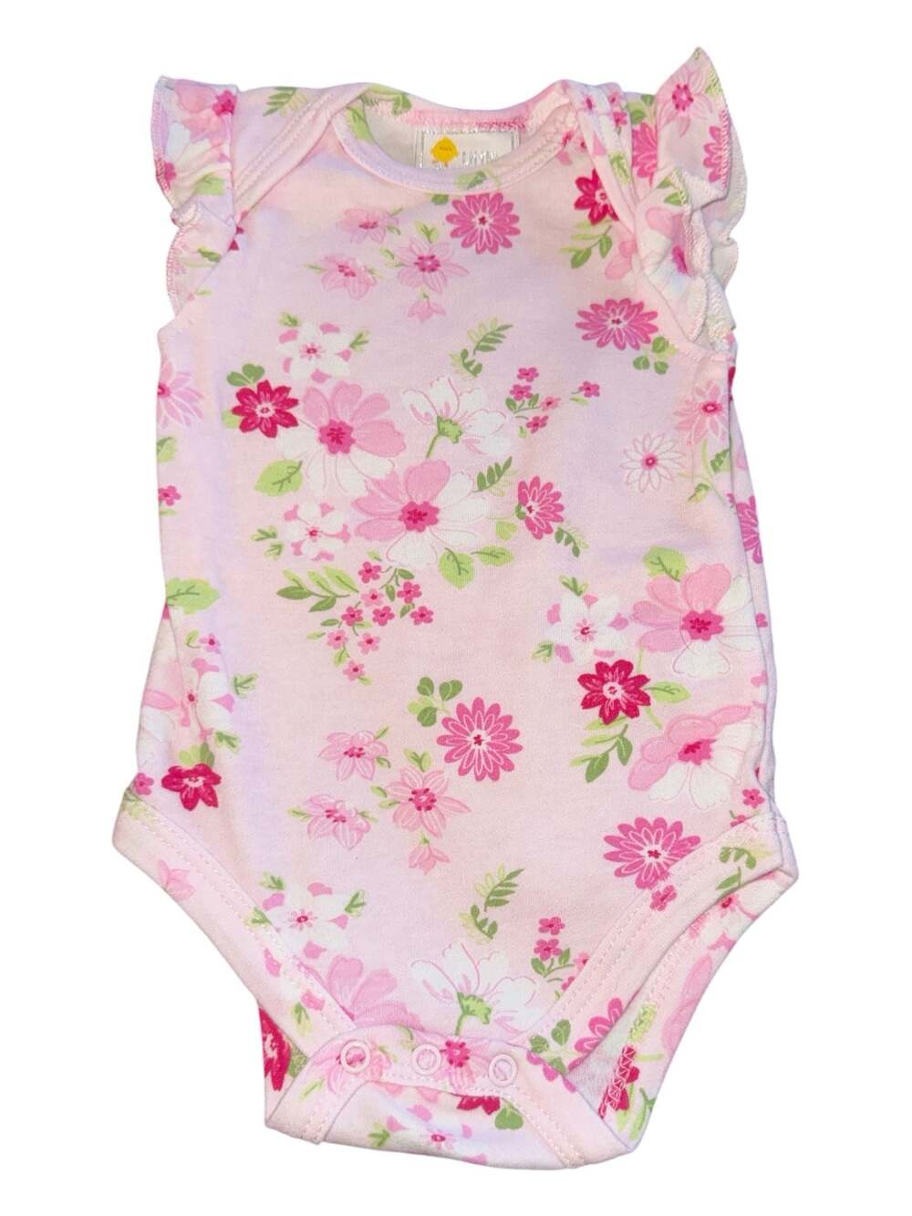 Little Chickadees Baby Girls Floral Print Ruffle Sleeve Bodysuitt